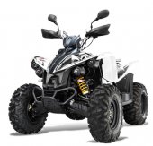 2012 TGB Target 460 IRS 4x4 photo